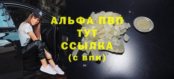 гидра Магас