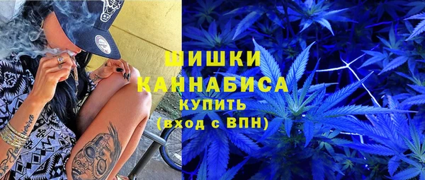 гидра Магас