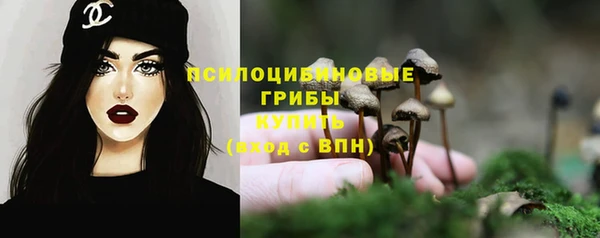 гидра Магас